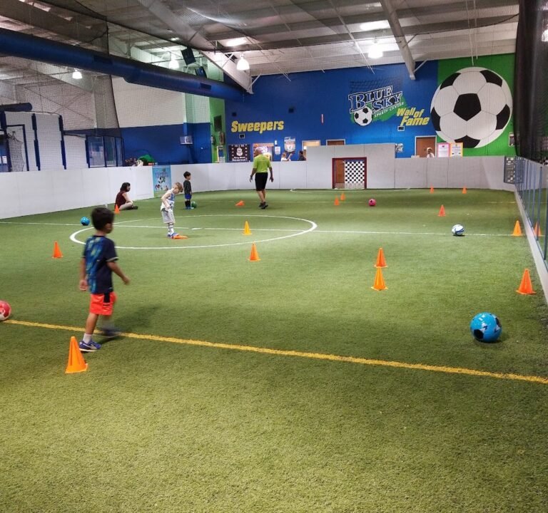 Soccer Field image 2