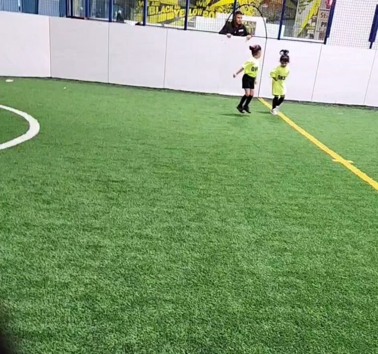 Soccer Field image 4