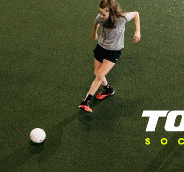 Soccer Field image 2