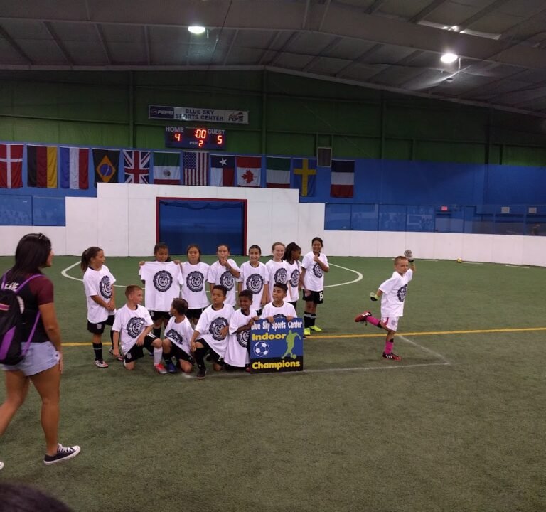 Soccer Field image 2