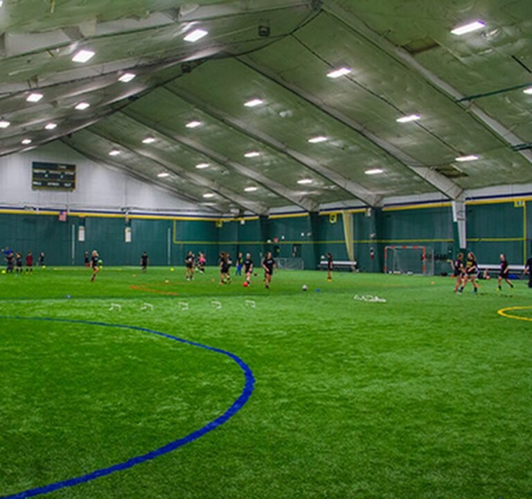 Soccer Field image 2