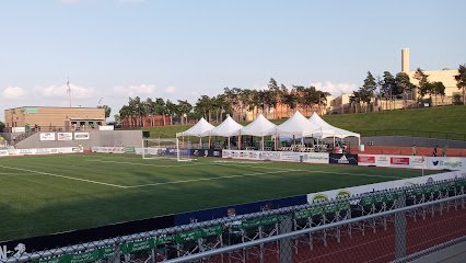 Soccer Field image 1
