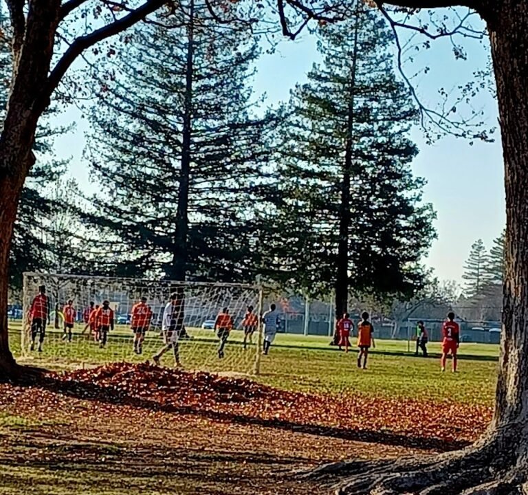 Soccer Field image 2