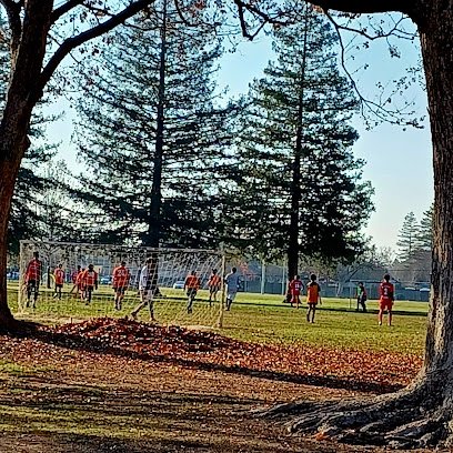 Soccer Field image 1