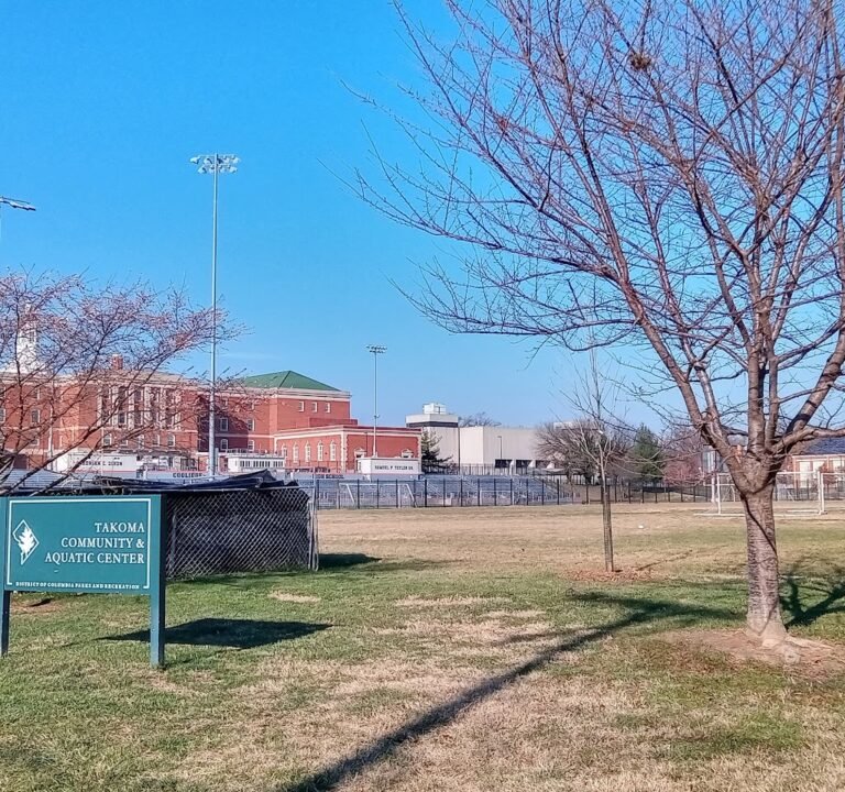 Soccer Field image 2