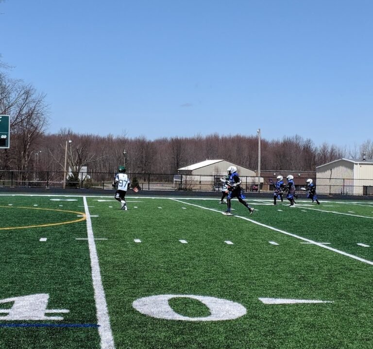 Soccer Field image 2