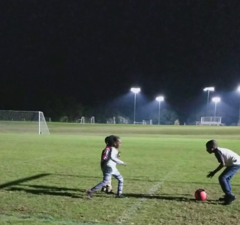 Soccer Field image 4