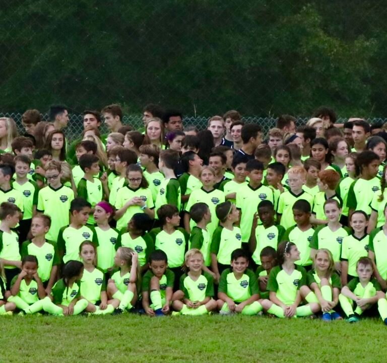 Soccer Field image 2