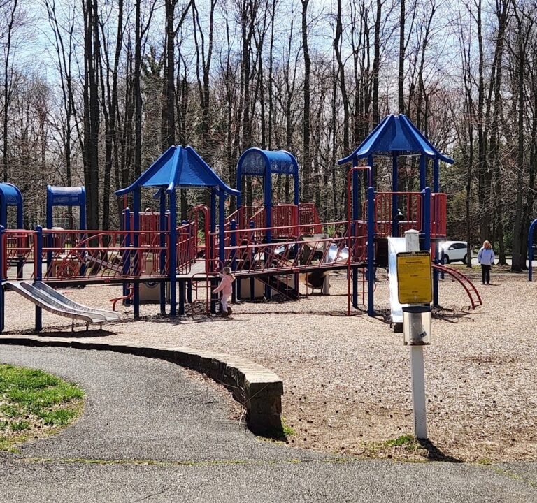 Soccer Field image 2