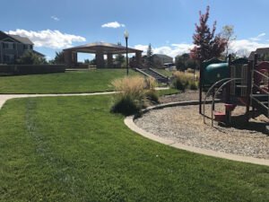 Soccer Field image 1