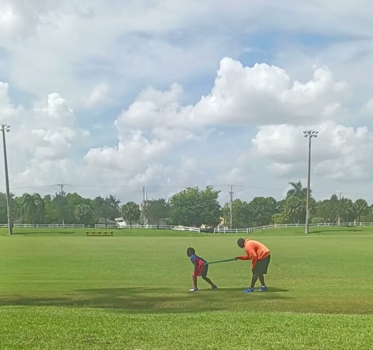 Soccer Field image 4