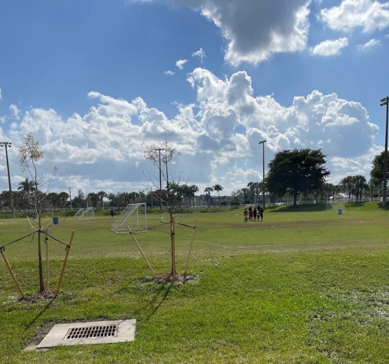 Soccer Field image 2