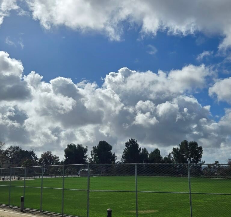 Soccer Field image 3