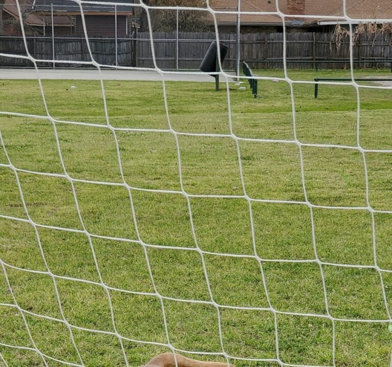 Soccer Field image 2