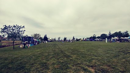 Soccer Field image 1