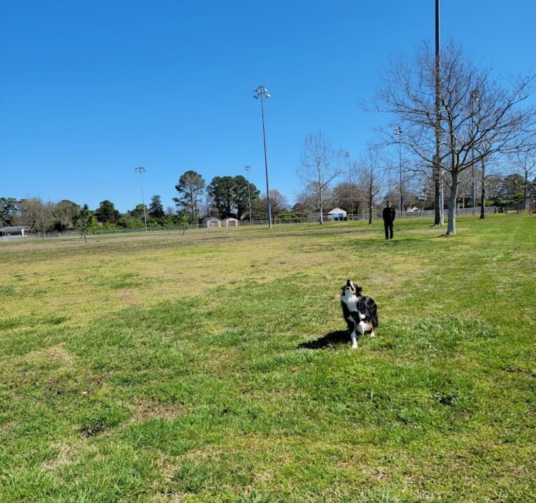 Soccer Field image 2