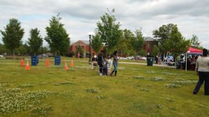 Soccer Field image 1