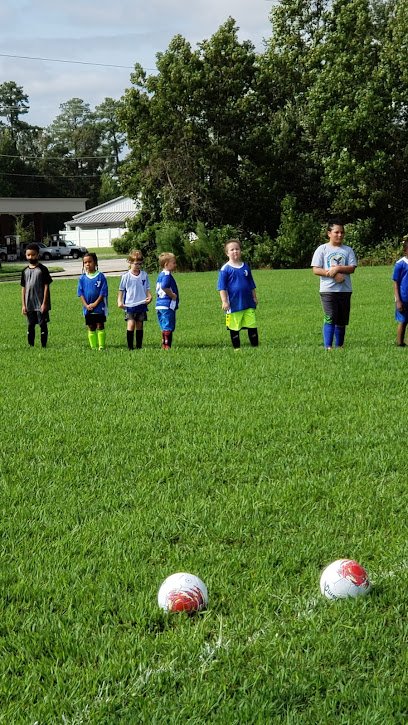 Soccer Field image 1