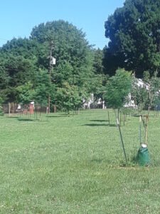 Soccer Field image 1