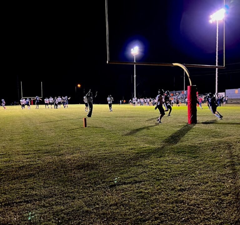 Soccer Field image 2