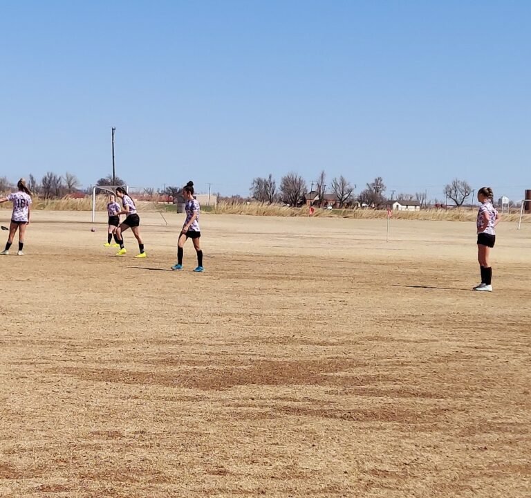 Soccer Field image 2