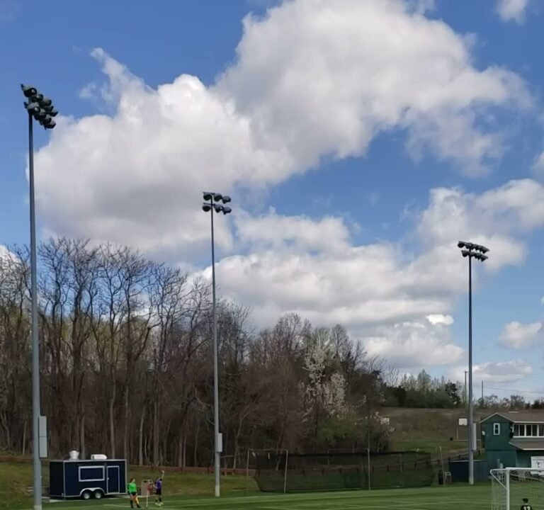 Soccer Field image 2