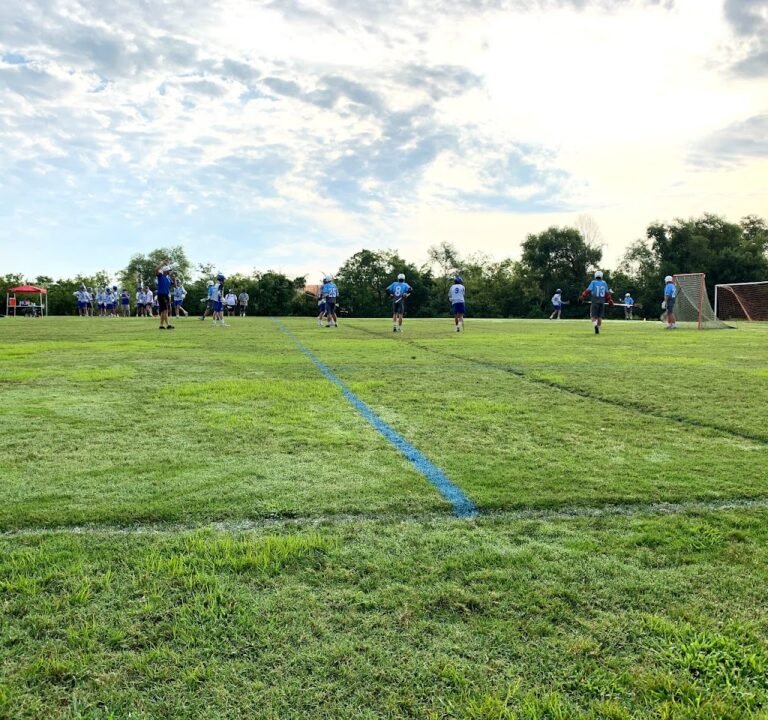Soccer Field image 2