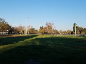 Soccer Field image 1