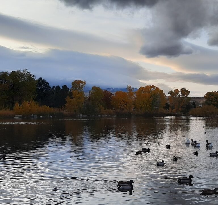 Soccer Field image 3