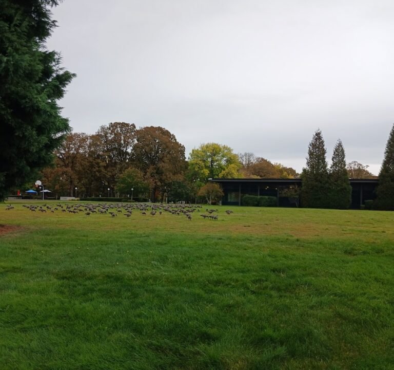 Soccer Field image 2