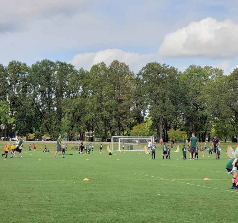 Soccer Field image 3