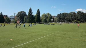 Soccer Field image 1