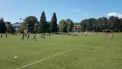 Soccer Field image 1
