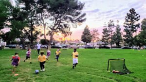 Soccer Field image 1