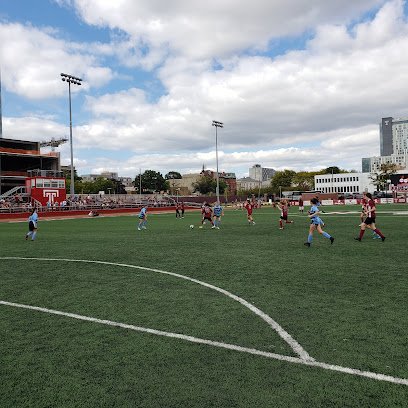 Soccer Field image 1