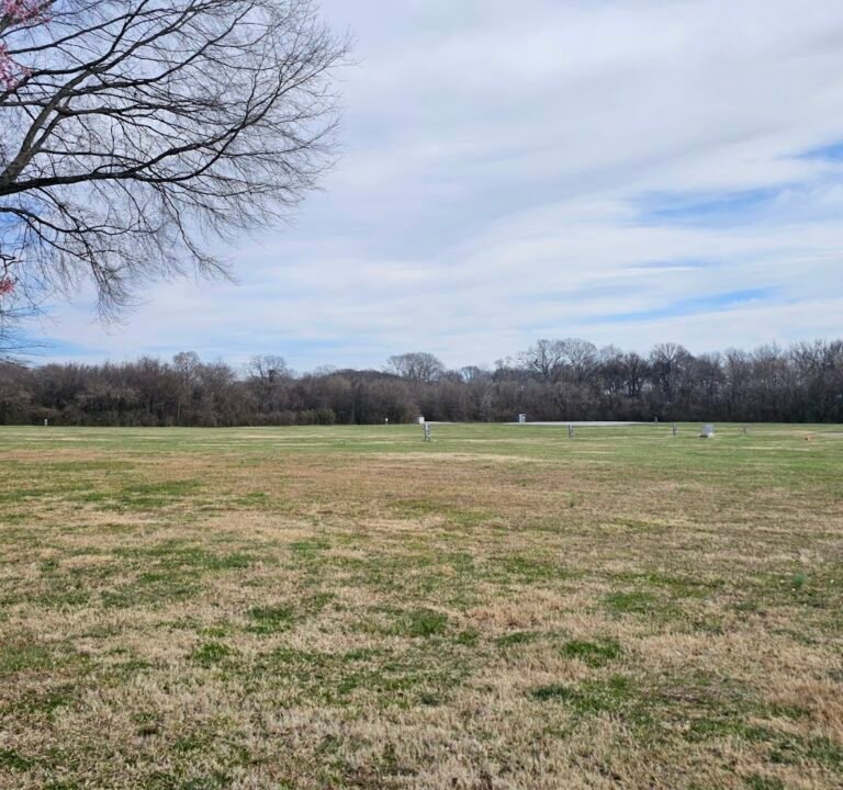 Soccer Field image 3