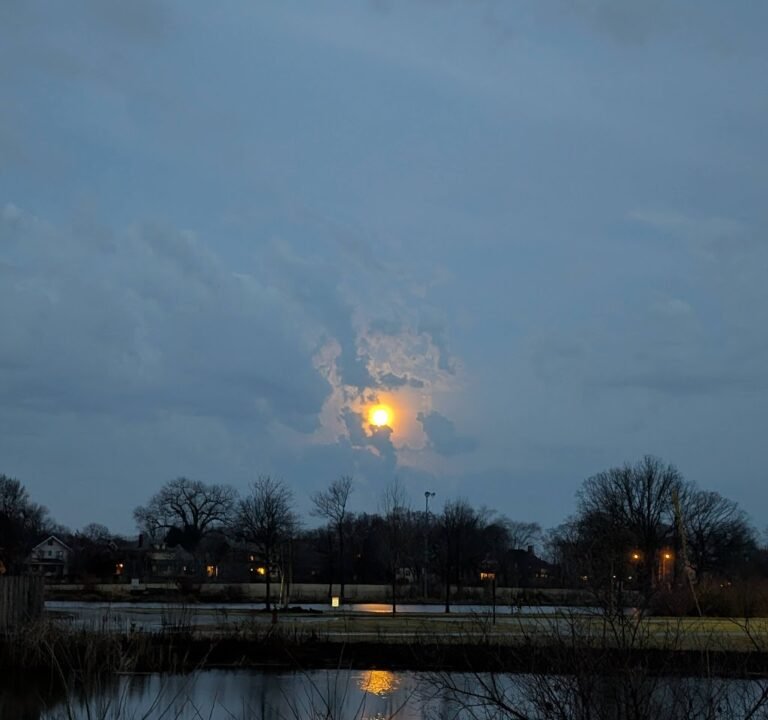 Soccer Field image 3