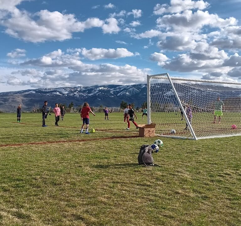 Soccer Field image 2