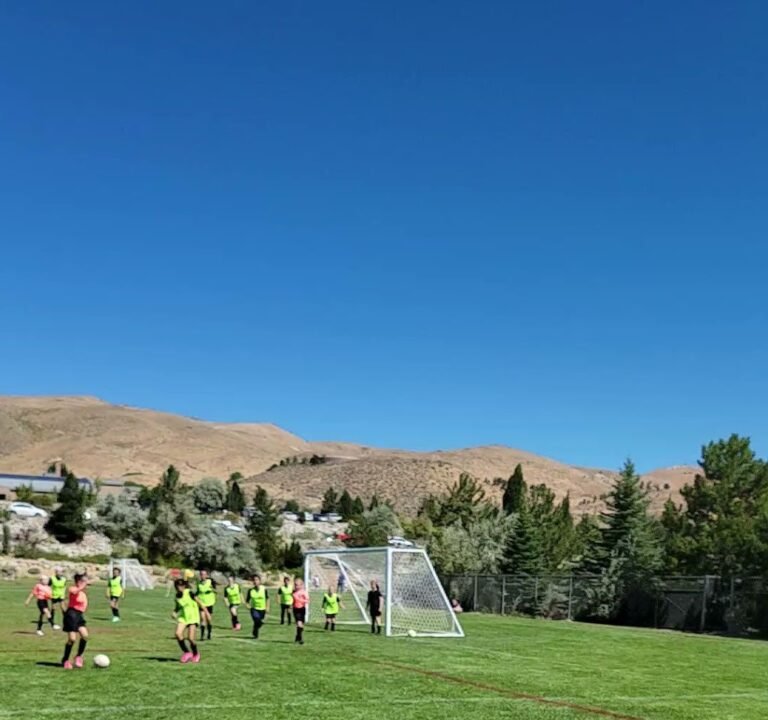 Soccer Field image 4