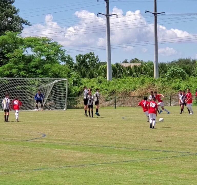 Soccer Field image 4