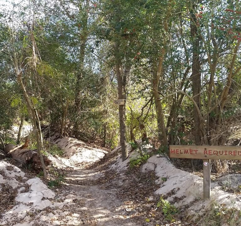 Soccer Field image 2