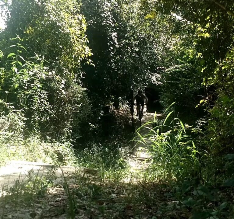 Soccer Field image 4