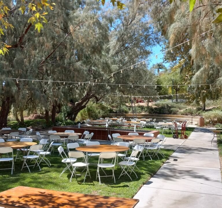 Soccer Field image 2