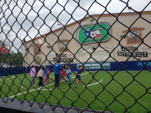 Soccer Field image 1