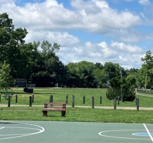 Soccer Field image 2