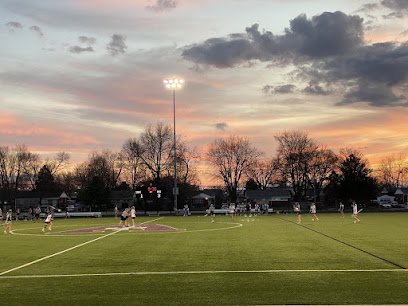 Soccer Field image 1
