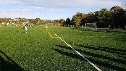 Soccer Field image 1