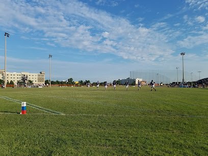 Soccer Field image 1