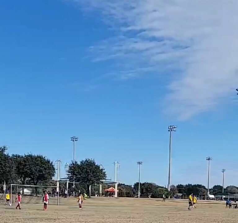 Soccer Field image 4