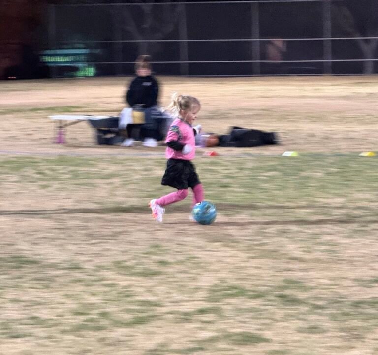 Soccer Field image 3